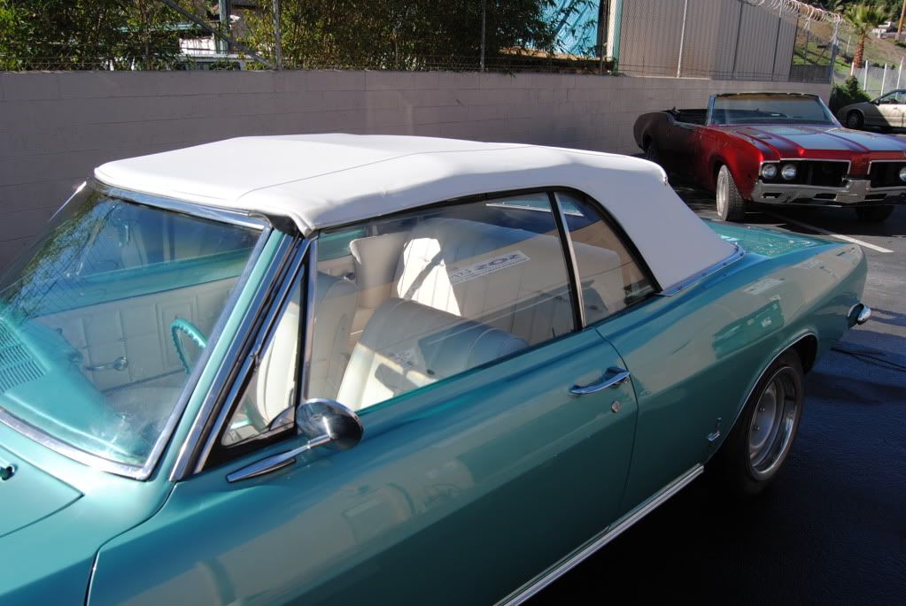 Chevy Corvair with a new white convertible top